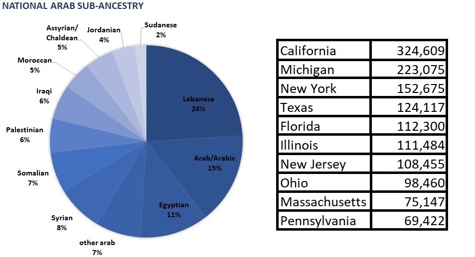 arab-speakers-in-usa-market